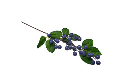 Branche de bleuets