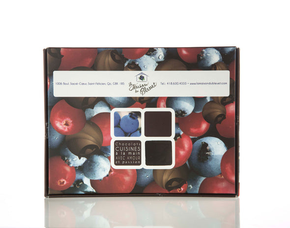 Boîte de Bleuets et de canneberges seches enrobé de chocolat noir 58%, format 100g.